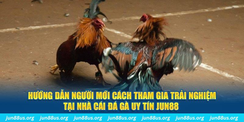 sv 88 loi game dot kich ket noi may chu that bai