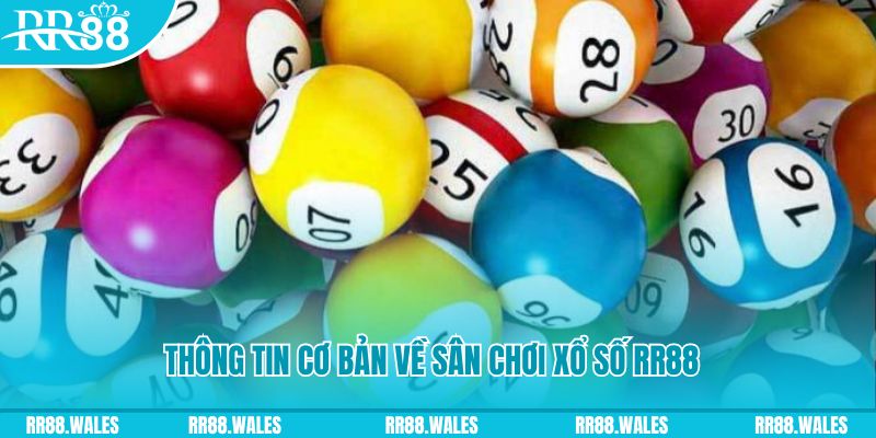 sv 88 đá gà hôm nay