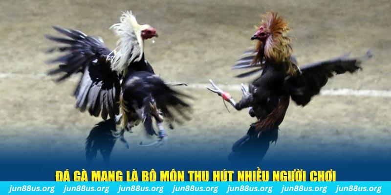 sv 88 đăng nhập lô đề hàng đầu