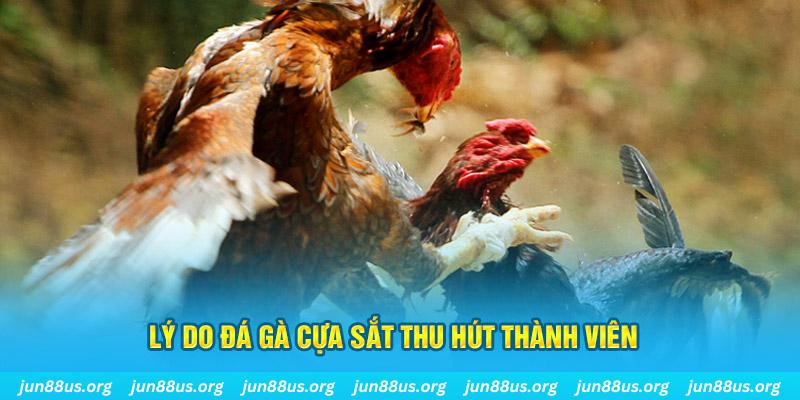 sv 88 chiếm slot là gì