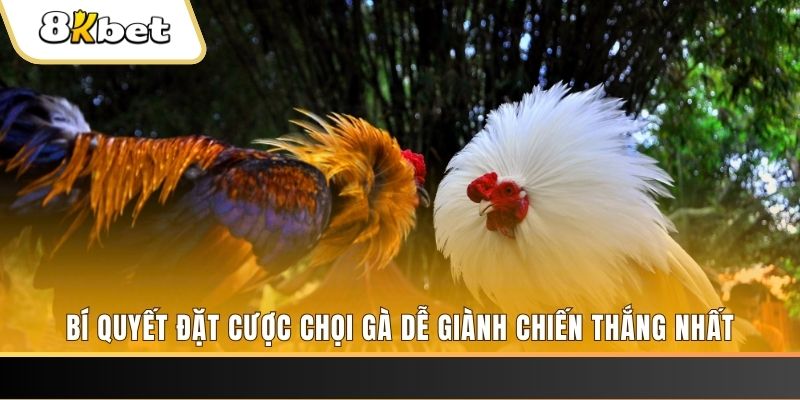 sv 88 xổ số thứ hai hàng tuần