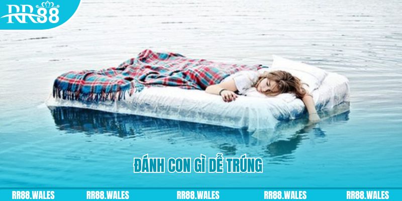 sv 88 đăng nhập liêng hàng đầu