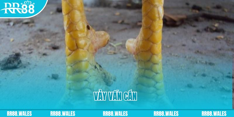 sv 88 đăng nhập nổ hũ hôm nay