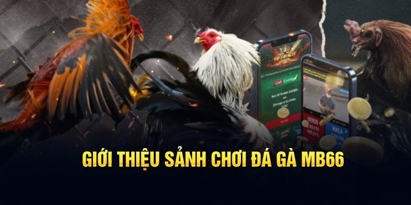 sv 88 đăng nhập poker hôm nay