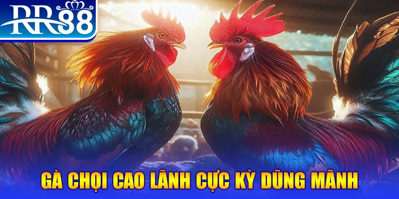 sv 88 ILOVEU Bắn cá