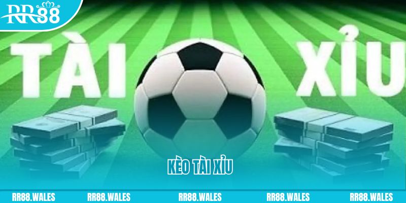 sv 88 Giành Chủ Bull Bull